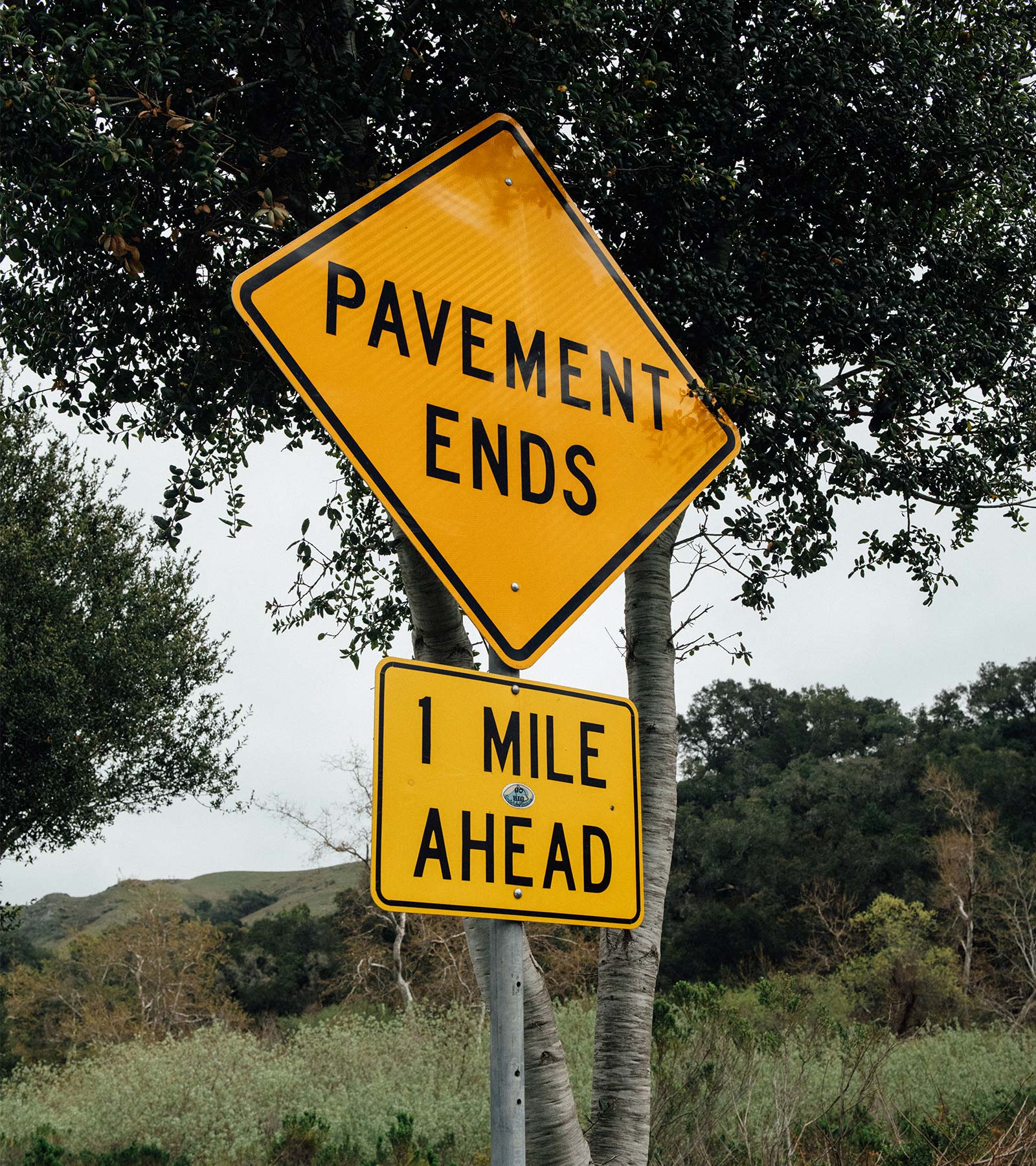 Distance Bottle - Image 4