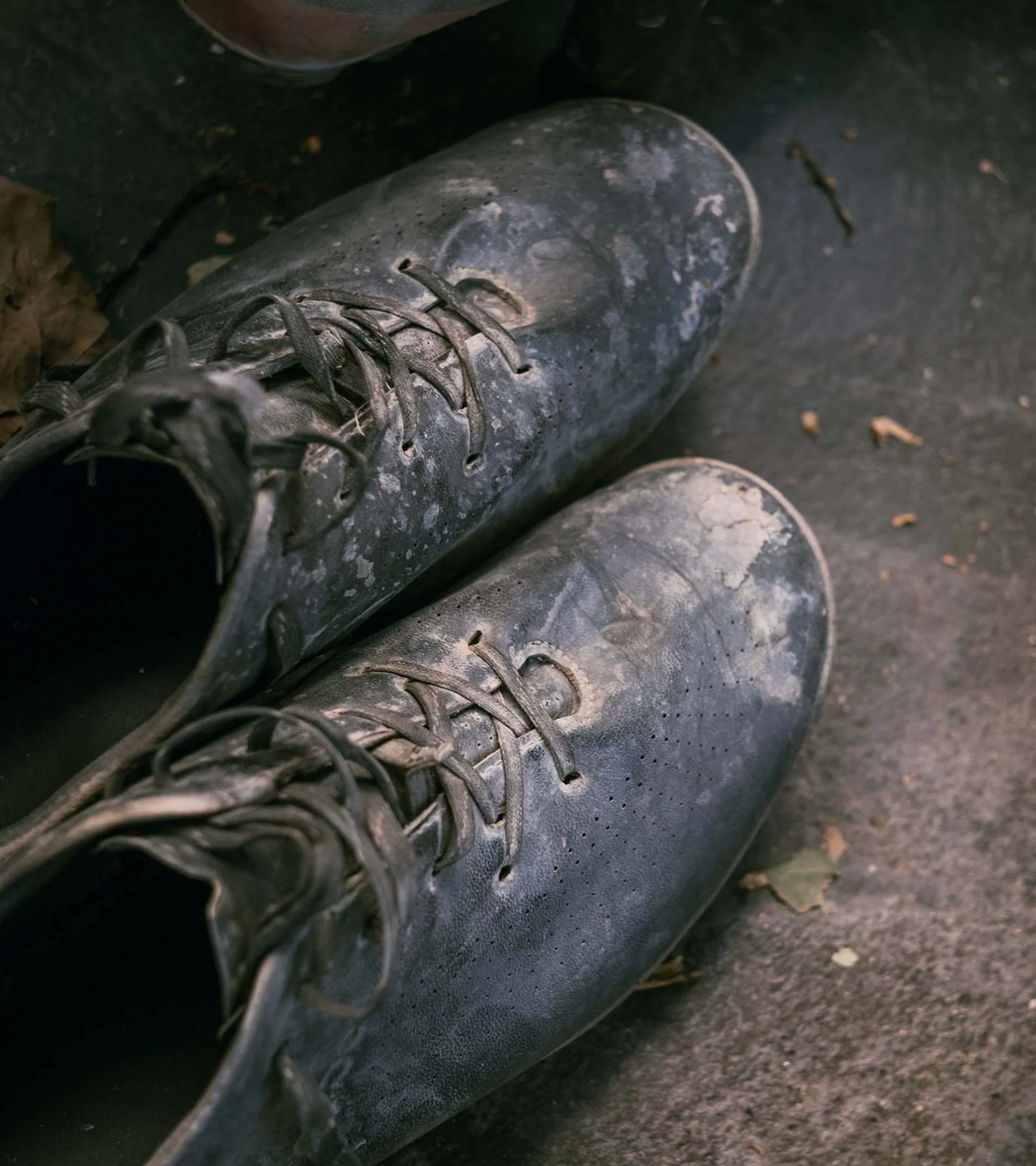 Gran Tourer Lace - Image 7